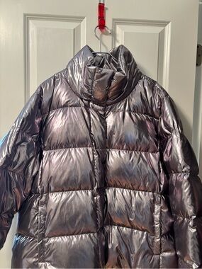 Metallic Iridescent Puffer Jacket in Silver